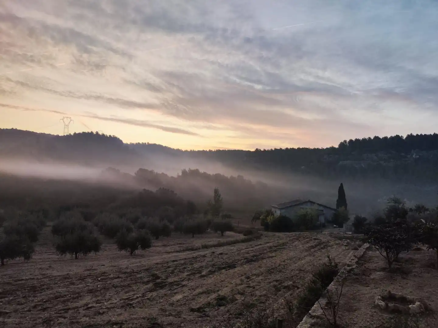 Vista exterior de Finca rústica en venta en Castellet i la Gornal con Jardín privado