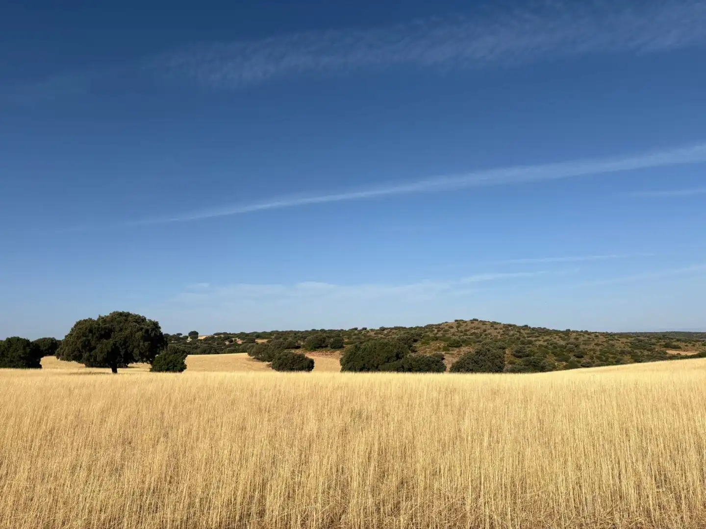 Finca rústica en venta en Ruidera