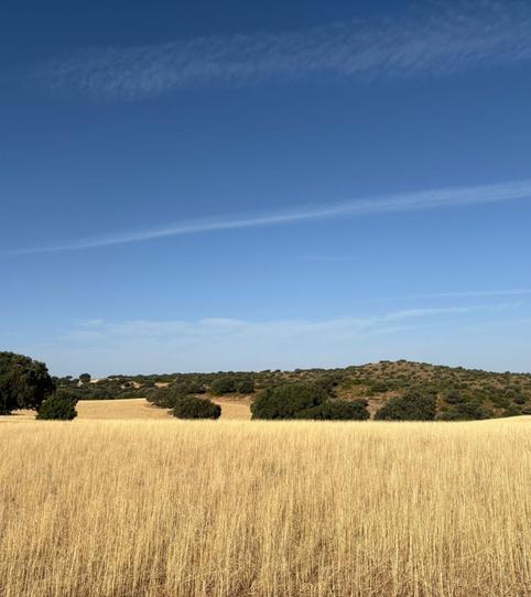 Photo 2 of Country house for sale in Ruidera, Ciudad Real