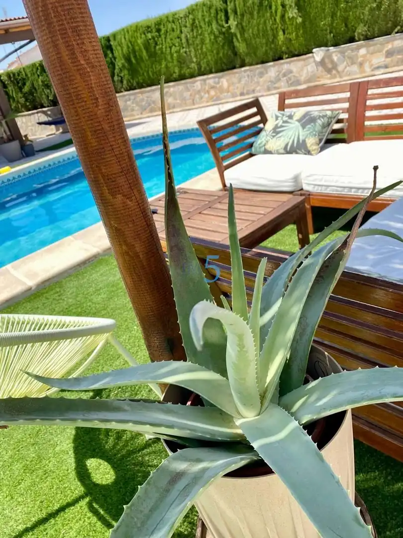 Casa con piscina en venta en Calle Barranco, imagen 13