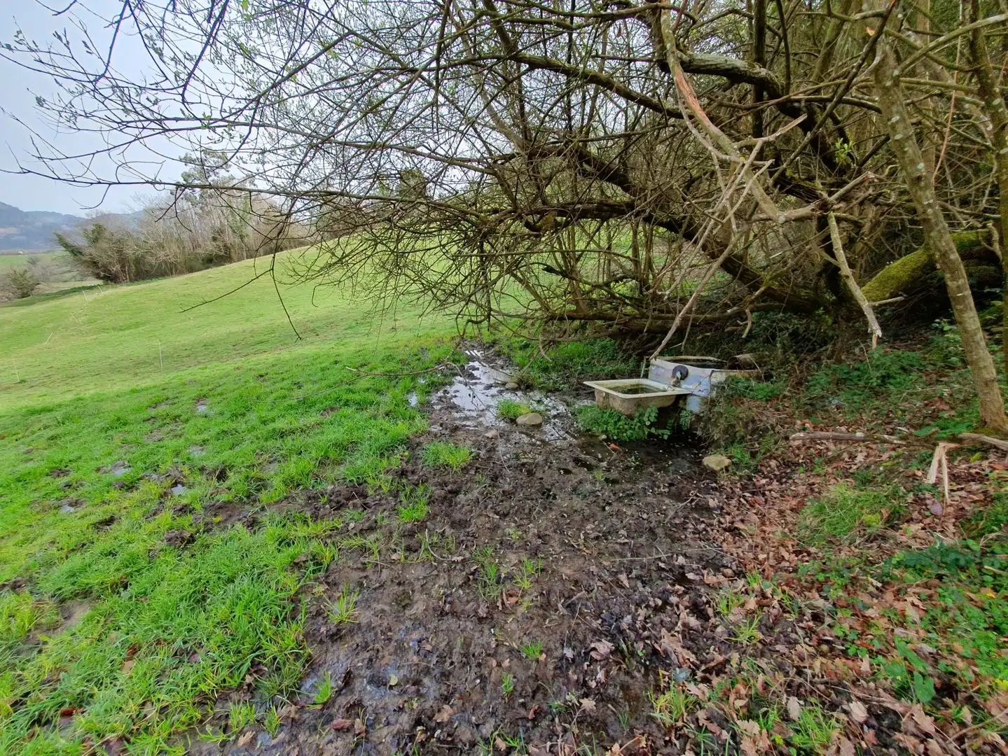 Maison rustique à vendre à Grado, imagen 8