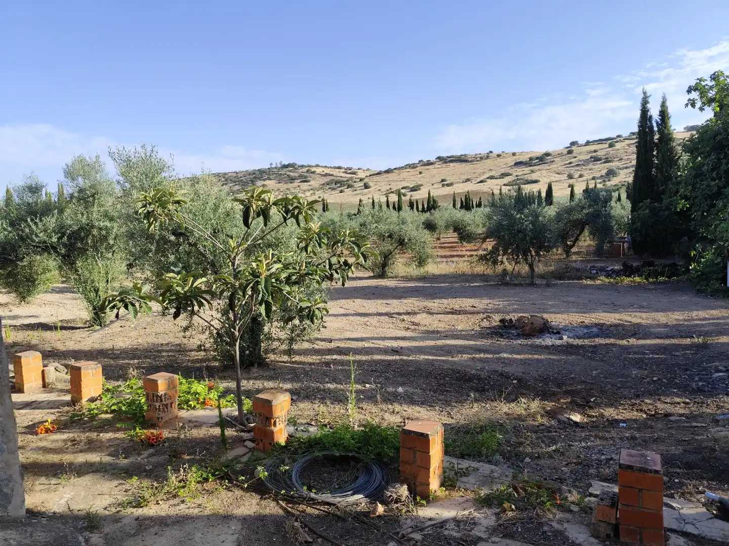 Terreno rustico in vendita a Fuente del Maestre, imagen 8