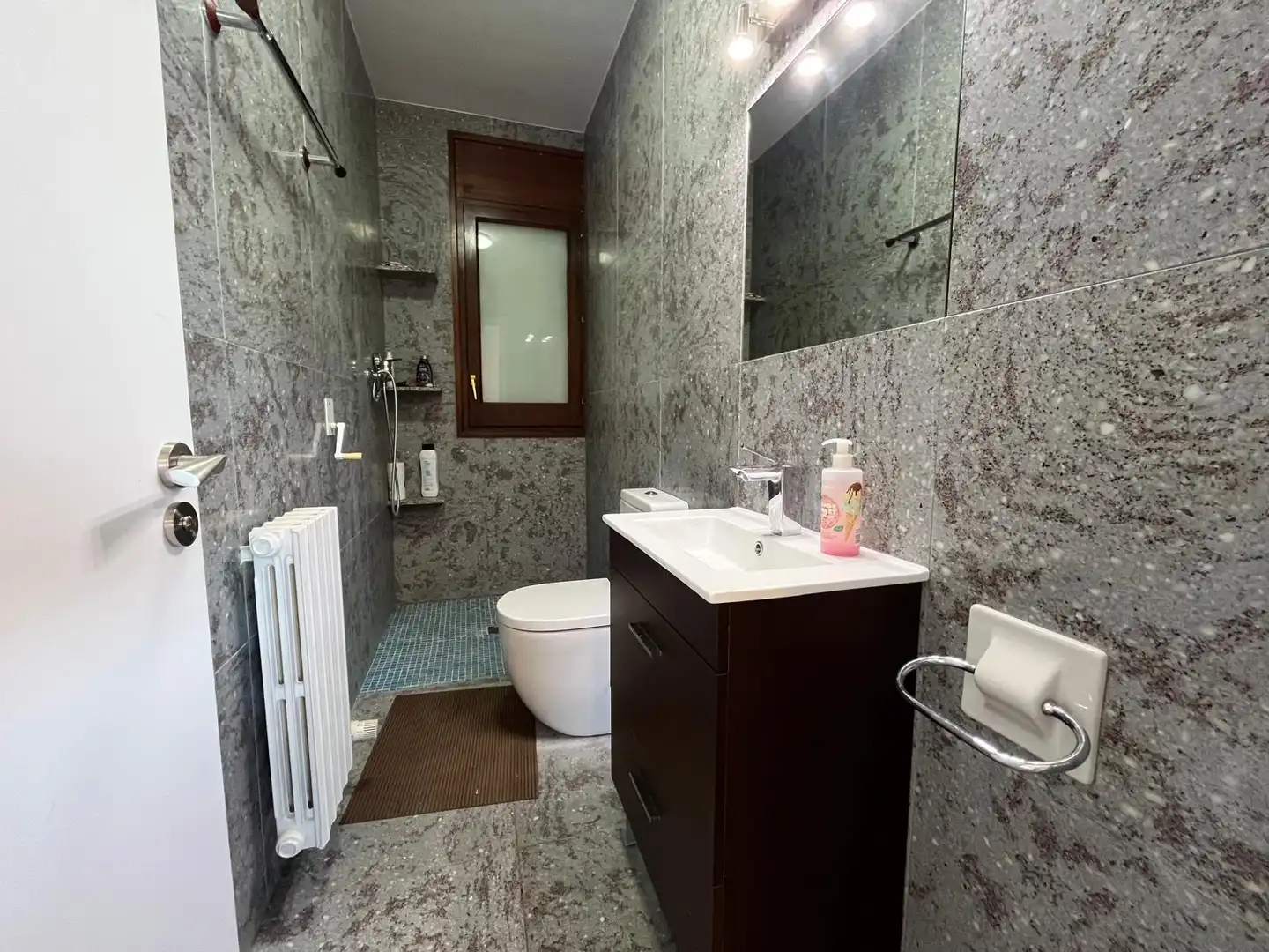 Baño de Casa o chalet en venta en Olot con Aire acondicionado, Calefacción y Jardín privado