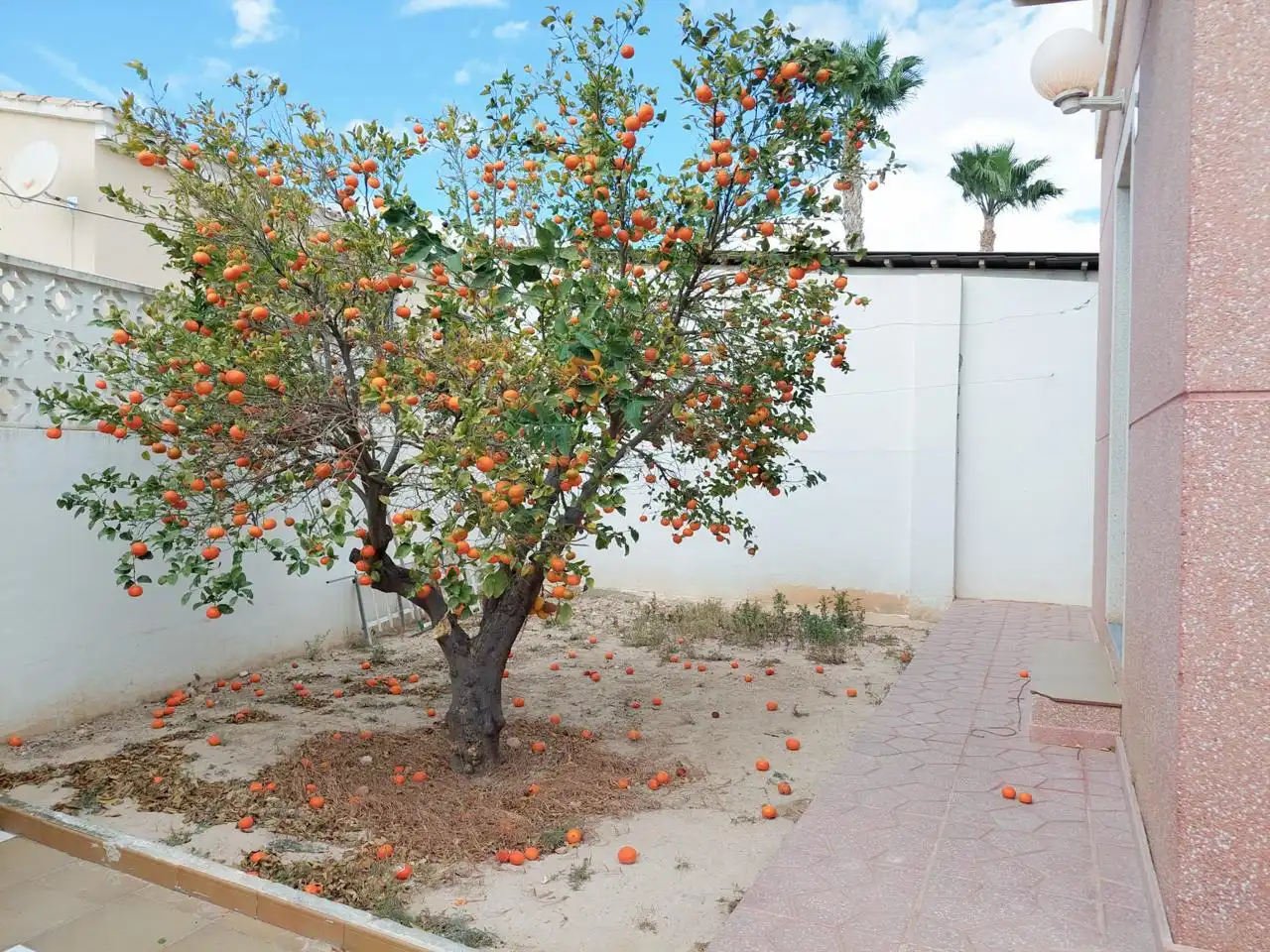 Jardín de Casa o chalet en venta en Elche / Elx con Aire acondicionado y Jardín privado