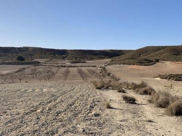 Terreno rustico in vendita a Mazarrón Casco Urbano