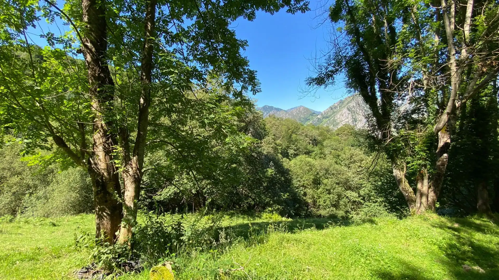 Terreno en venta en PRIESCA, Ponga