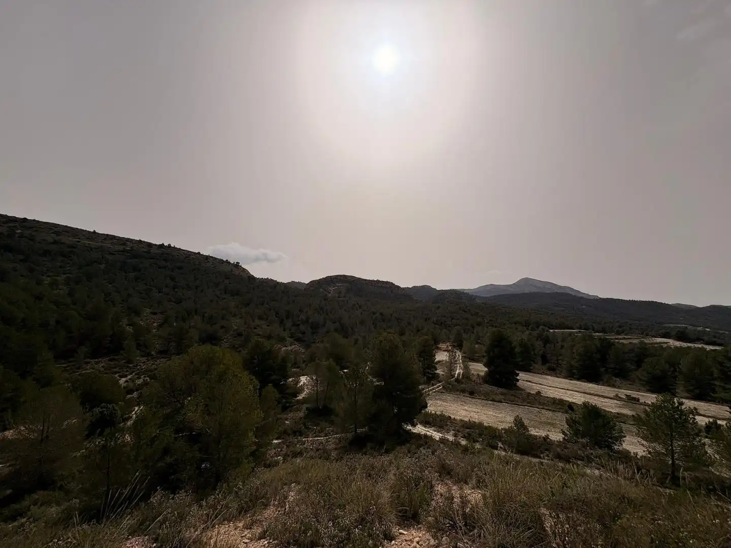 Terreno rustico in vendita a Petrer, imagen 13