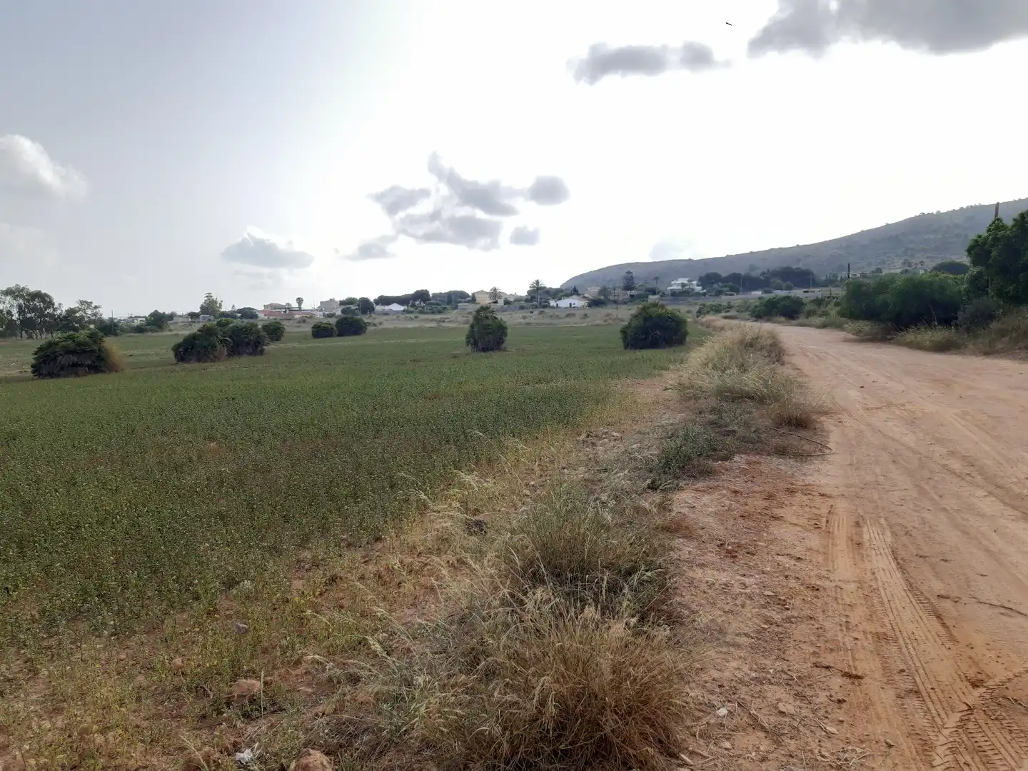 Residential land for sale in Mar Menor de Cartagena – Cabo de Palos, imagen 10