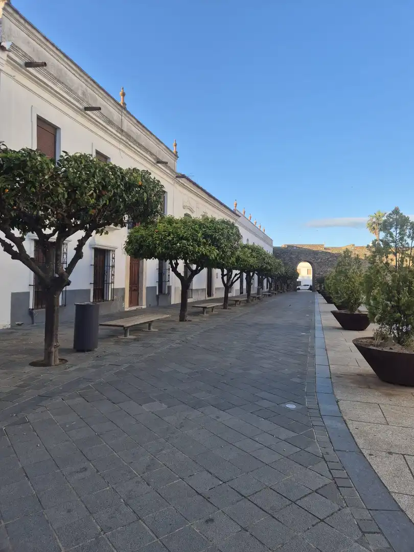Adossat en venda a Calle Miguel Hernández, imagen 18