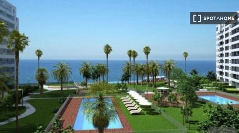 Foto 2 de Apartament per a compartir a Punta Prima, Alicante