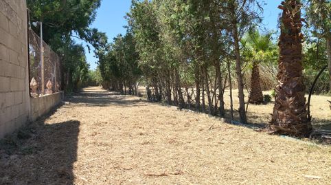 Foto 4 de Finca rústica en venta en Muro, Illes Balears