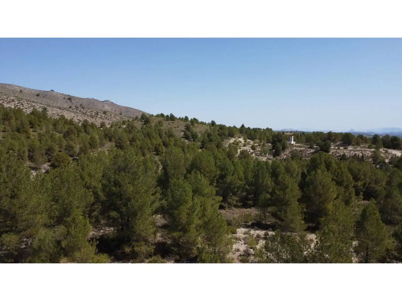 Terreno rustico in vendita a Carretera Llano de Béjar, imagen 17