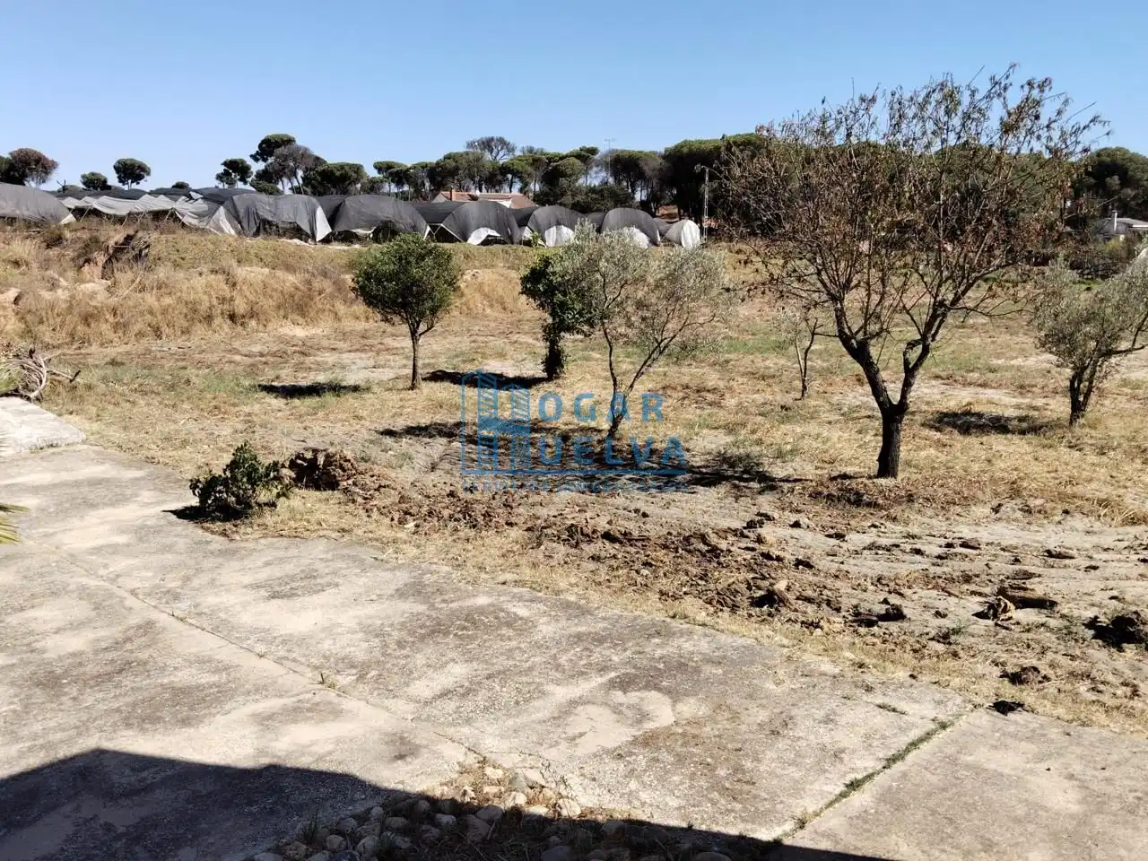 Finca rústica en venda en Lucena del Puerto