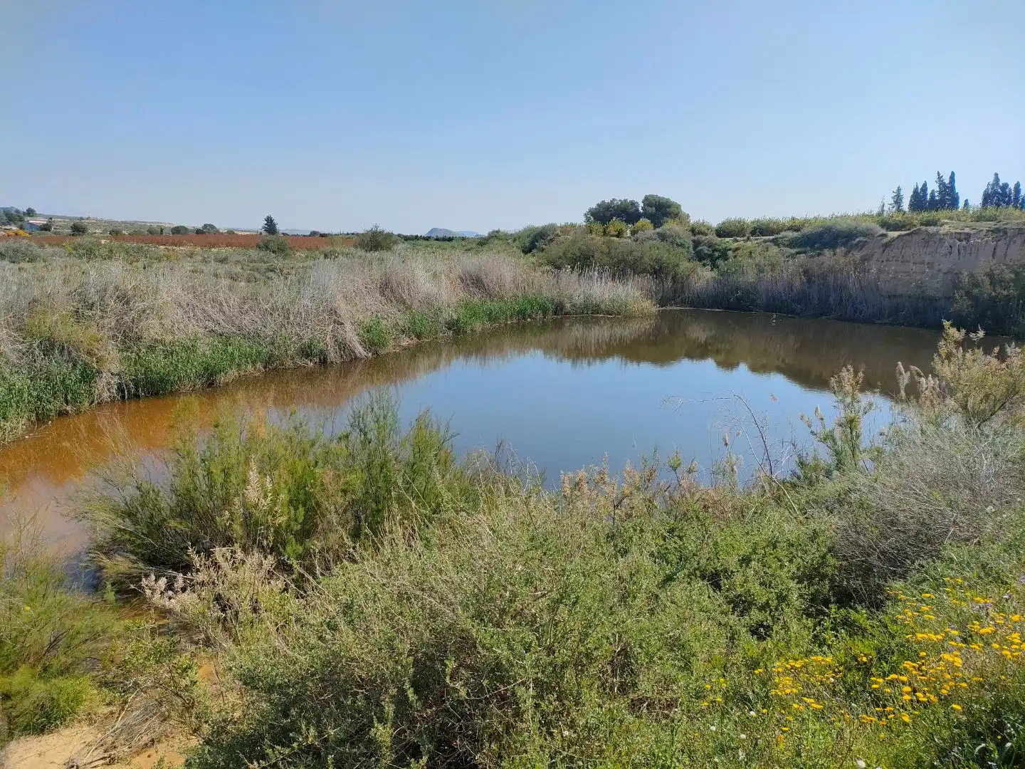 Grundstücke zum Verkauf in Alicante / Alacant