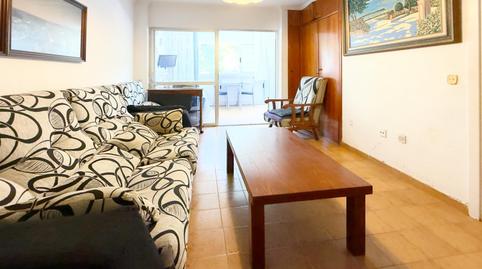 Foto 2 de Planta baja en venta en Avenida de Portugal, 4, Juzgados - Plaza de Toros, Alicante