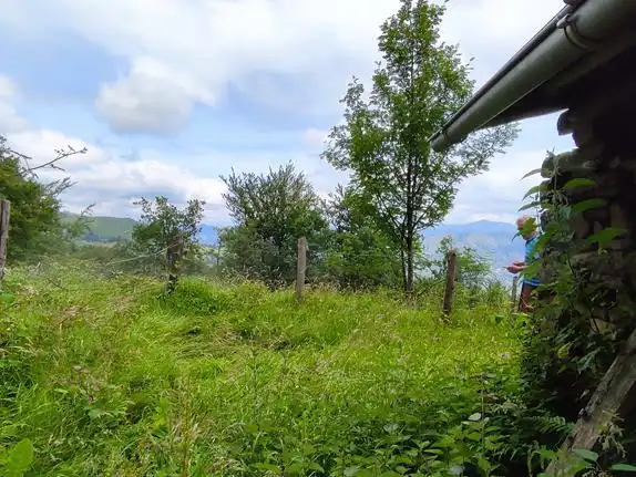 Finca rústica en venda en Aller amb Moblat