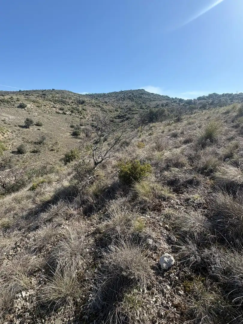 Terreno en venta en Carabaña