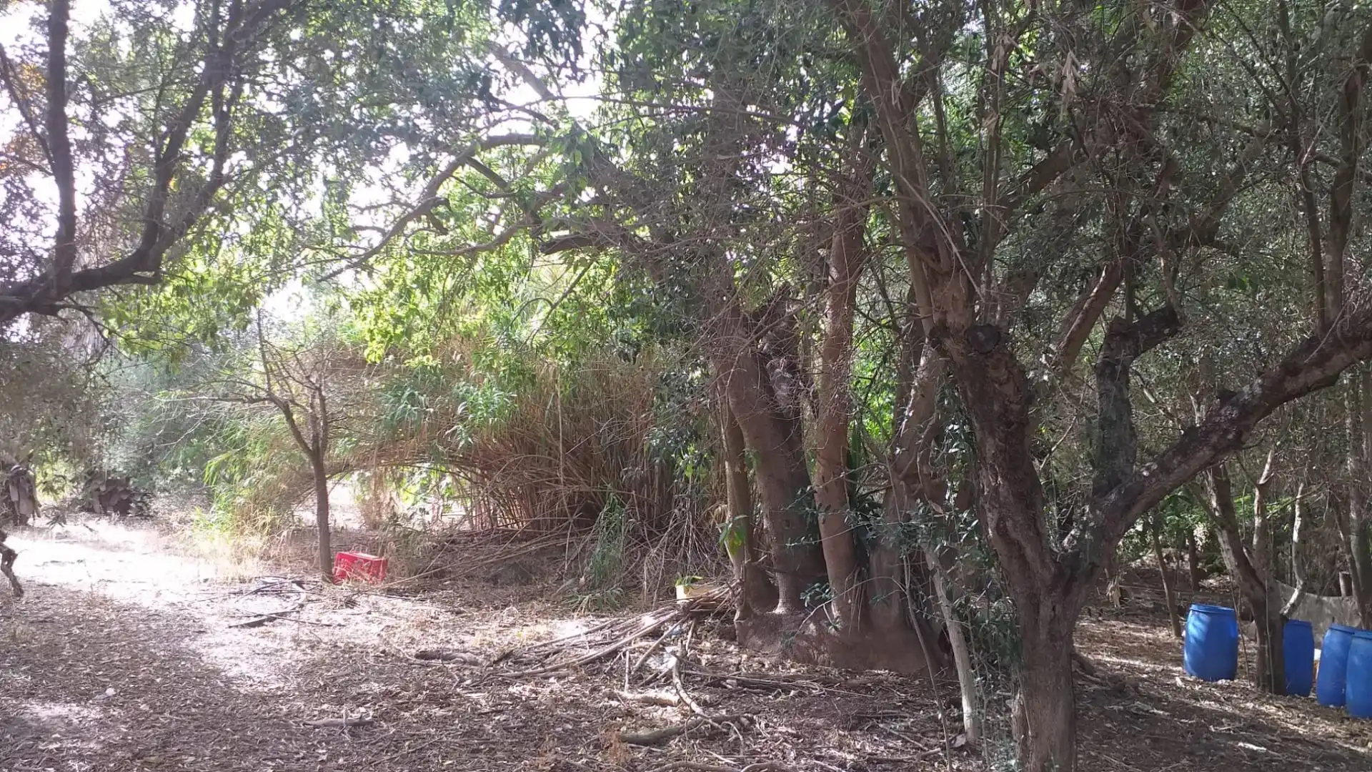 Rural land for sale in El Rocío - La Milagrosa, imagen 10