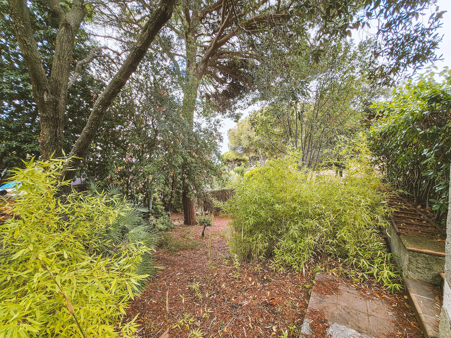 Villa con terrazza in vendita a Sant Cebrià de Vallalta, imagen 5