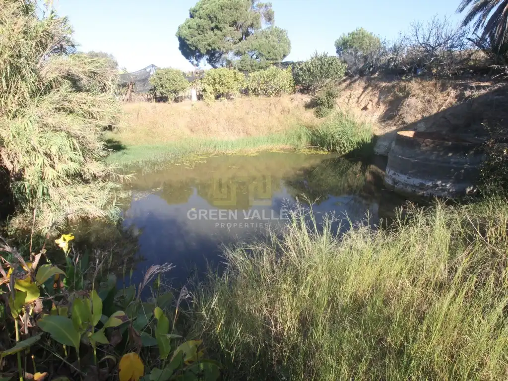 Finca rústica en venta en La Alcaidesa