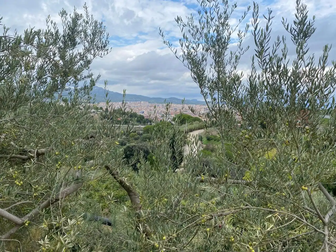 Residencial en venta en Terrassa