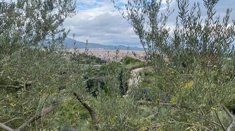 Photo 4 of Residential for sale in Carrer de la Llebre, Les Martines, Barcelona