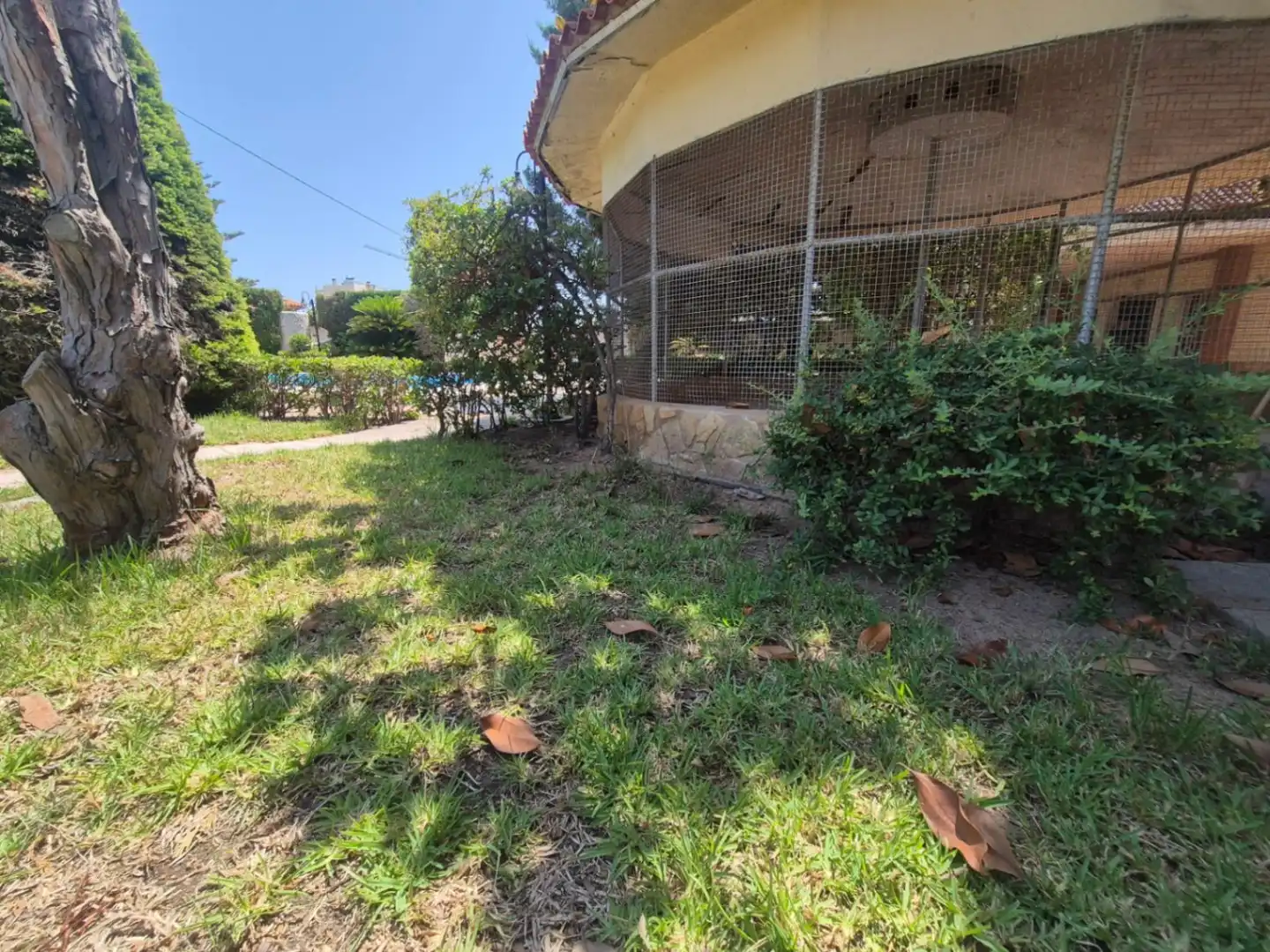 Chalet con piscina en venta en Oliva Playa, imagen 22