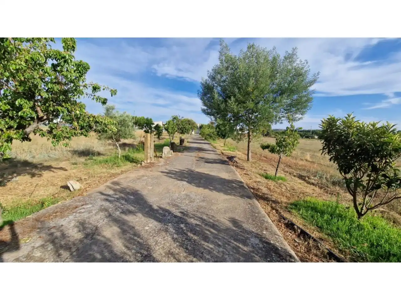 Casa o chalet en venta en Ciudad Rodrigo con Jardín privado, Terraza y Piscina