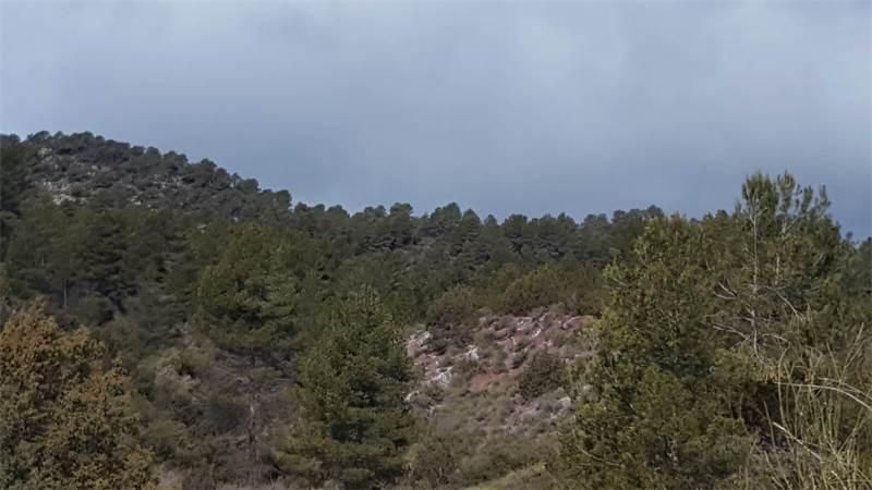 Terreno en venta en Enguídanos