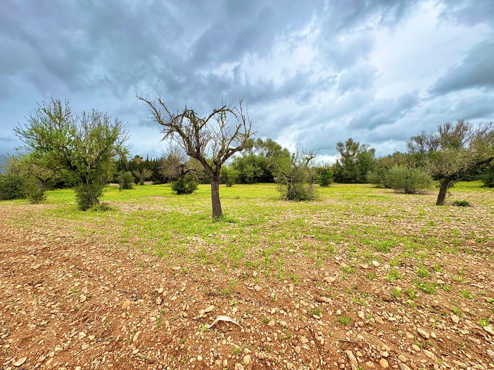 Finca rústica en venta en ESTRELLA, Sencelles