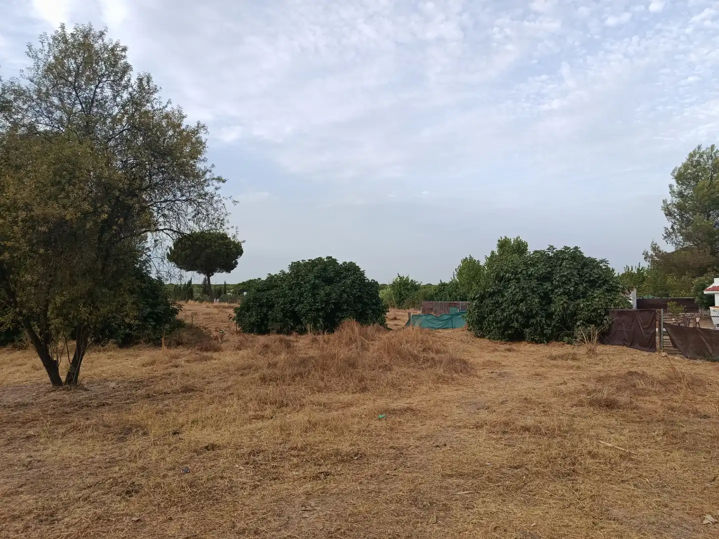 Finca rústica en venda en Hinojos amb Terrassa