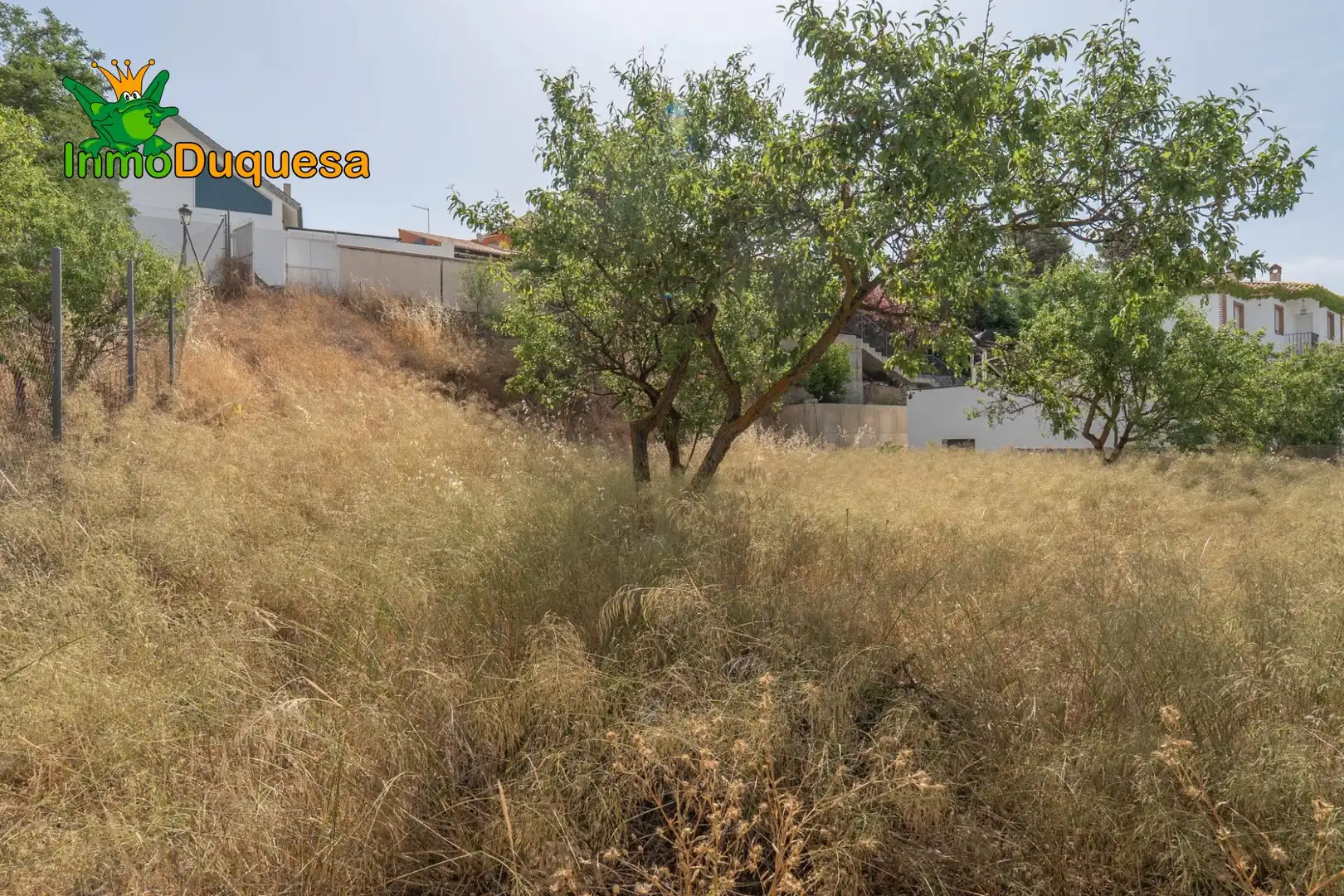 Terreni e lotti in vendita a Villa de Otura, imagen 19