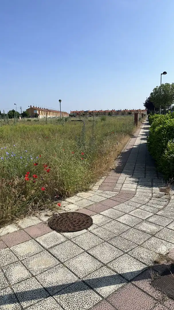 Terreni e lotti in vendita a Lugar Sud 12 1199, imagen 11