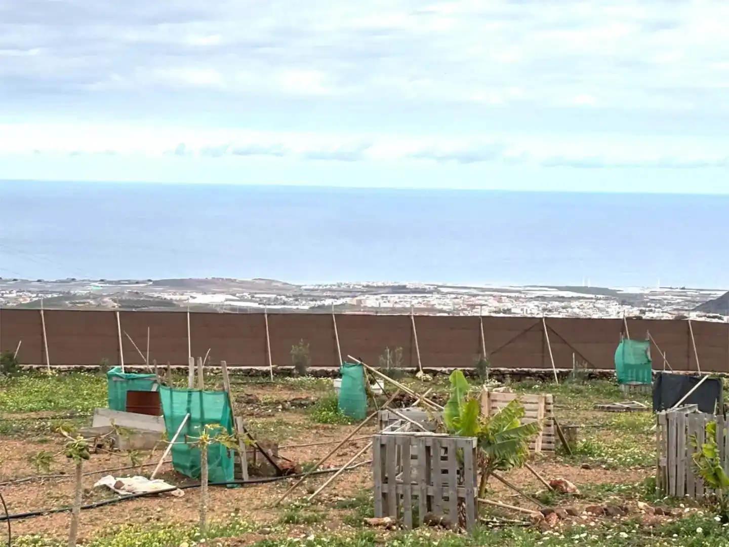 Finca rústica en venda en Ingenio