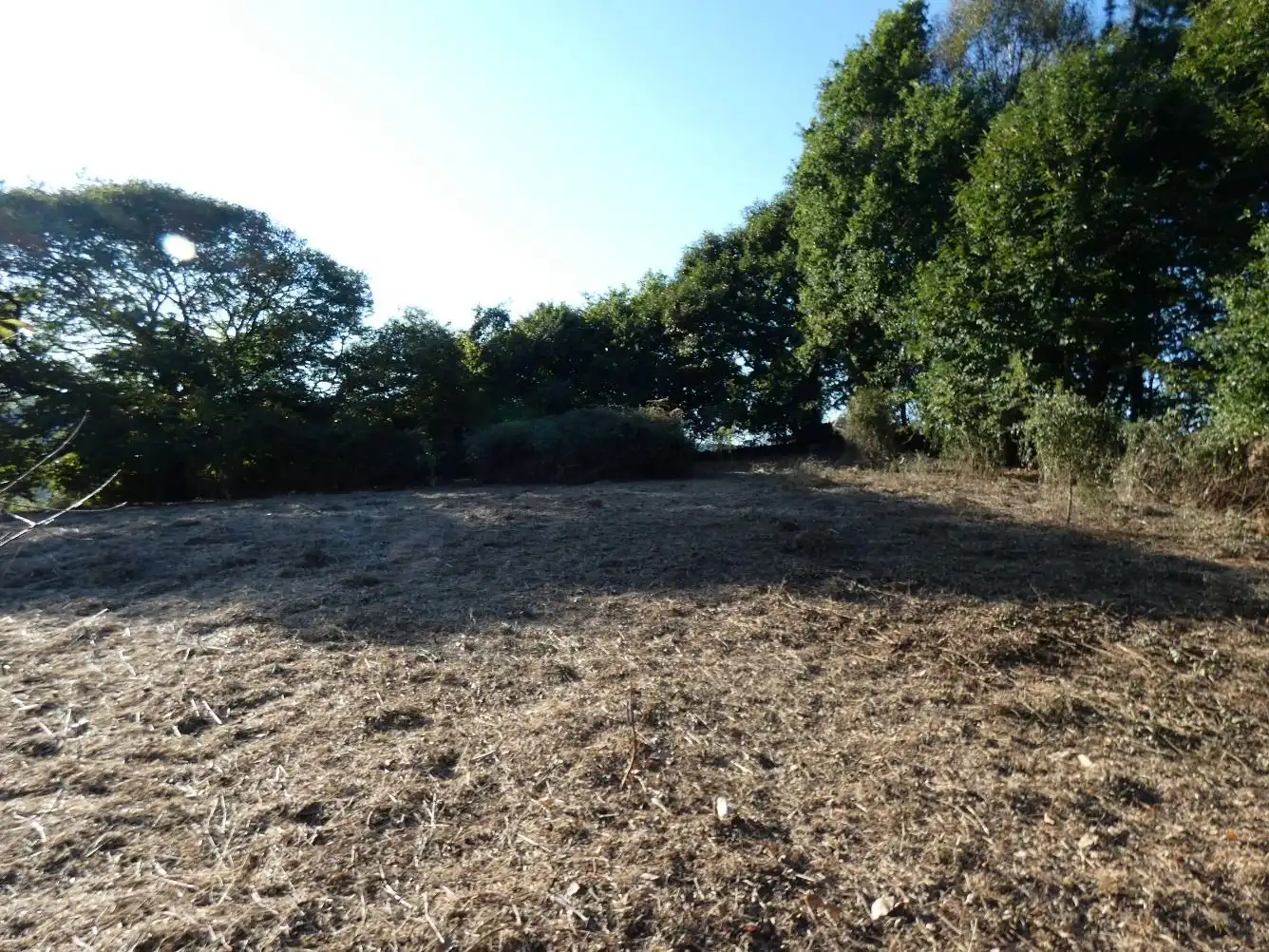 Lands and plots for sale in Tineo, imagen 3