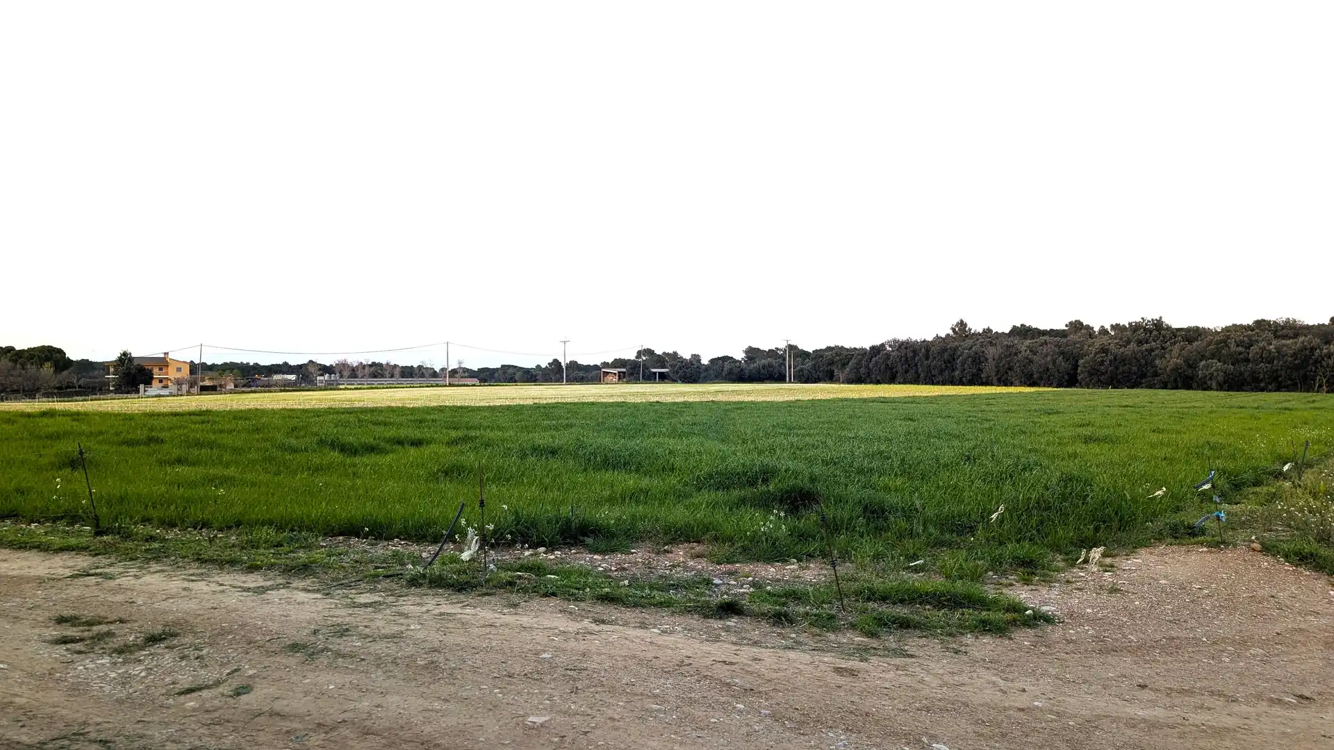 Country homes for sale in Navata