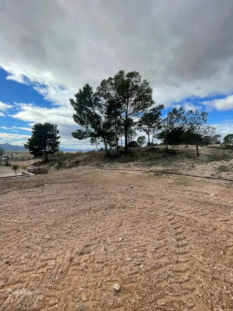 Casa o xalet en venda en Jumilla amb Terrassa