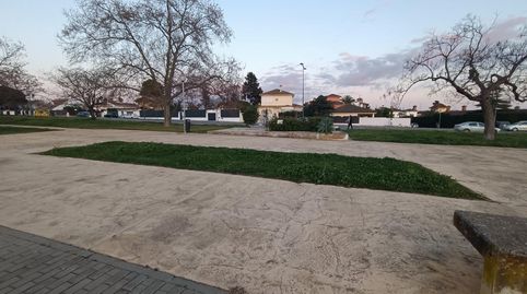 Jerez de la FronteraTerreno, imatge 4