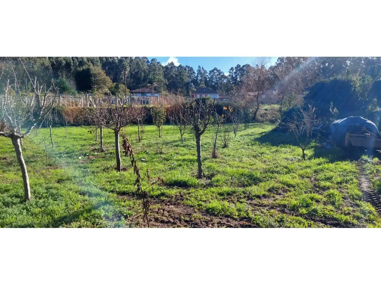 Terreno rustico in vendita a Ribadumia, imagen 20