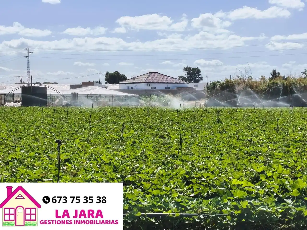 Lands and plots for sale in Camino de la Jara