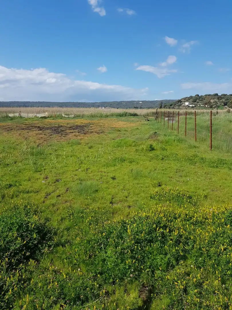 Terreno en venta en Barbate