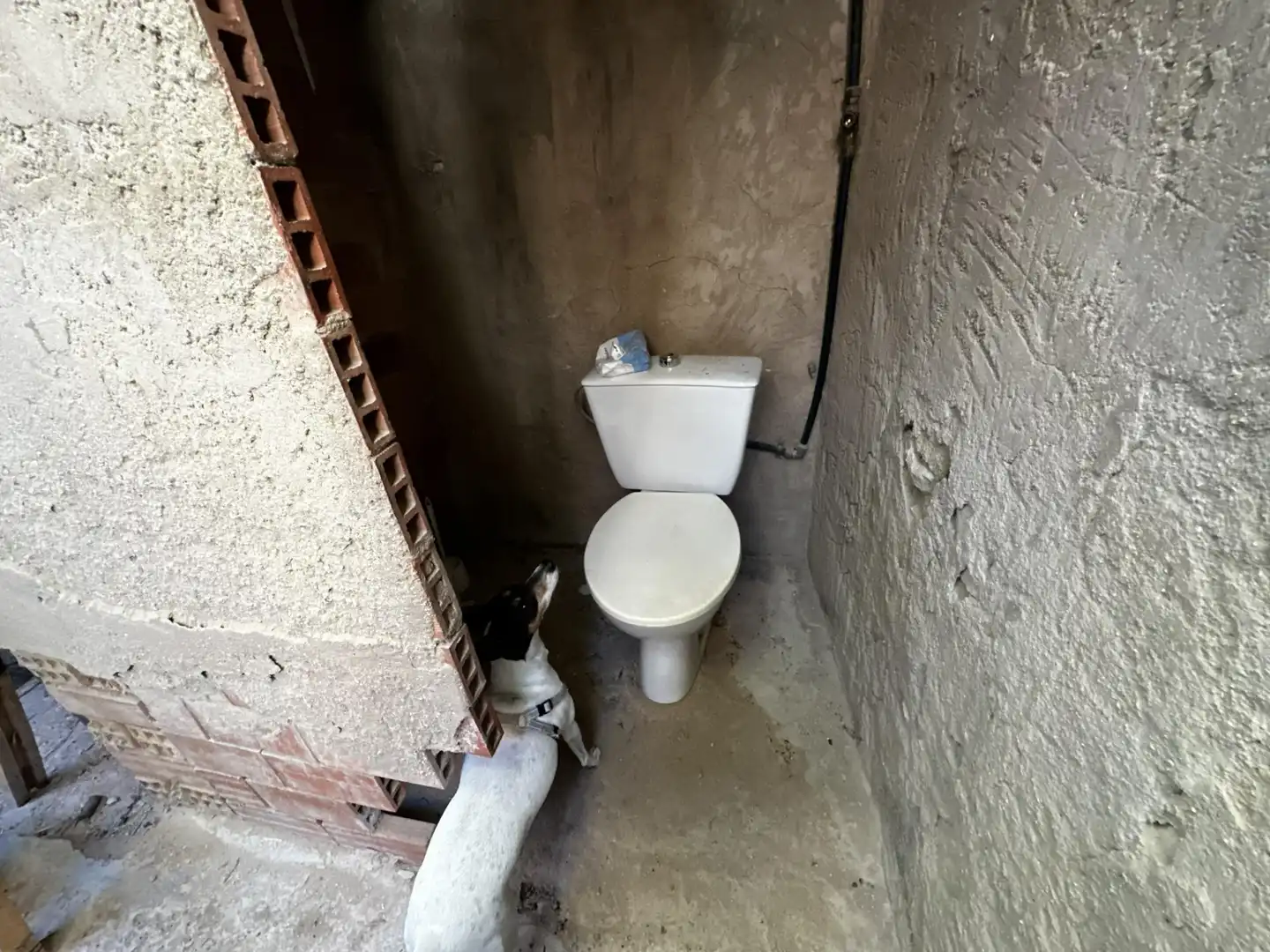Xalet en venda a Monóvar  / Monòver, imagen 11