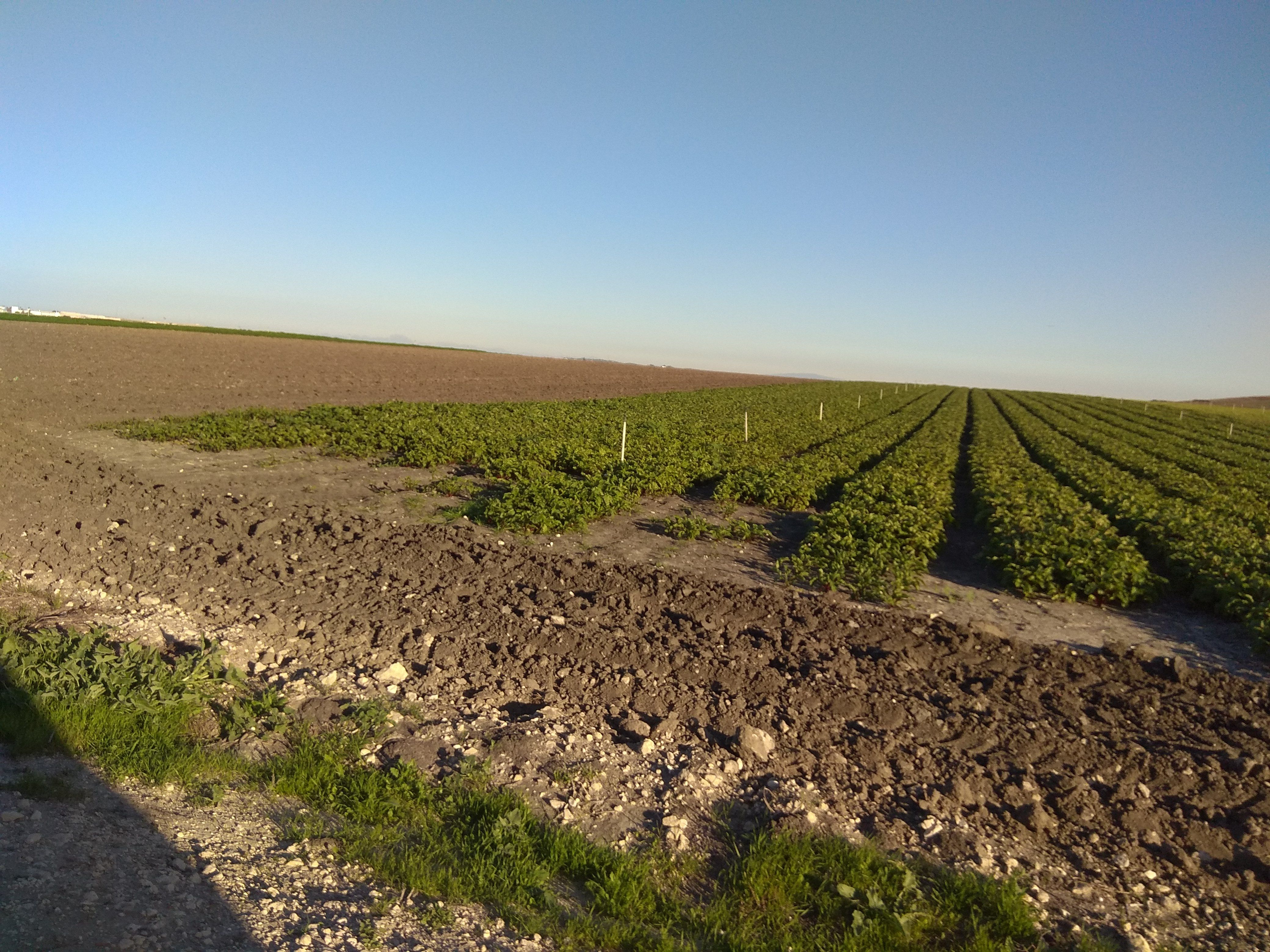 Exterior view of Land for sale in Jerez de la Frontera