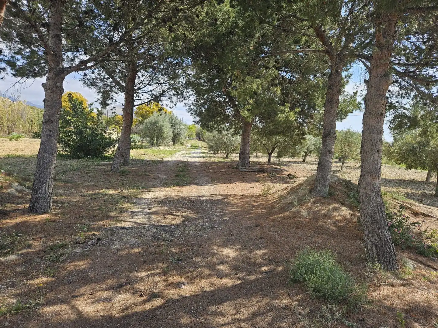 Finca rústica en venda en Villajoyosa / La Vila Joiosa