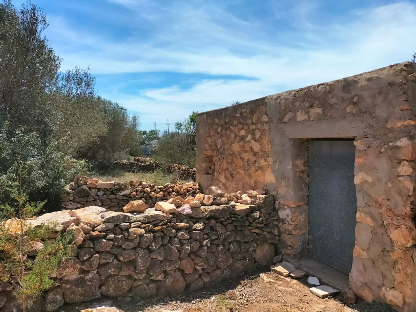 Villa avec jardin à vendre à Venda des Pi des Catala  2962 Sant Francesc (carretera Ca Mari) 2962, imagen 5