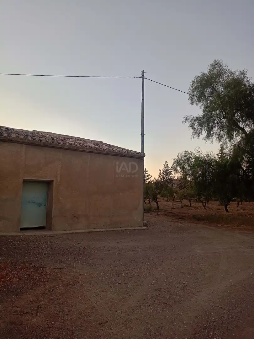 Country homes for sale in Lorca