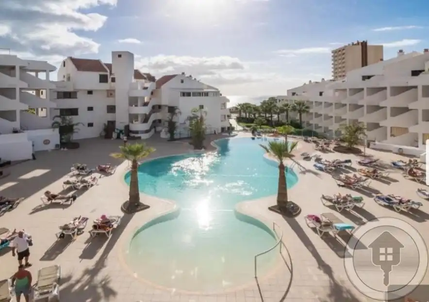 Estudi en venda a Juan Carlos I, Los Cristianos