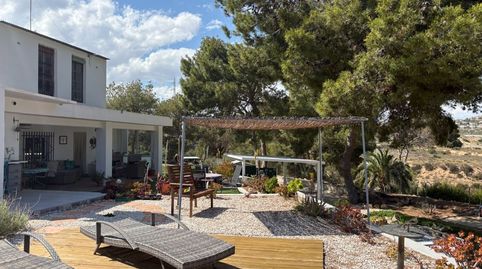 Foto 3 de Finca rústica en venda a San Crispín, Elche / Elx