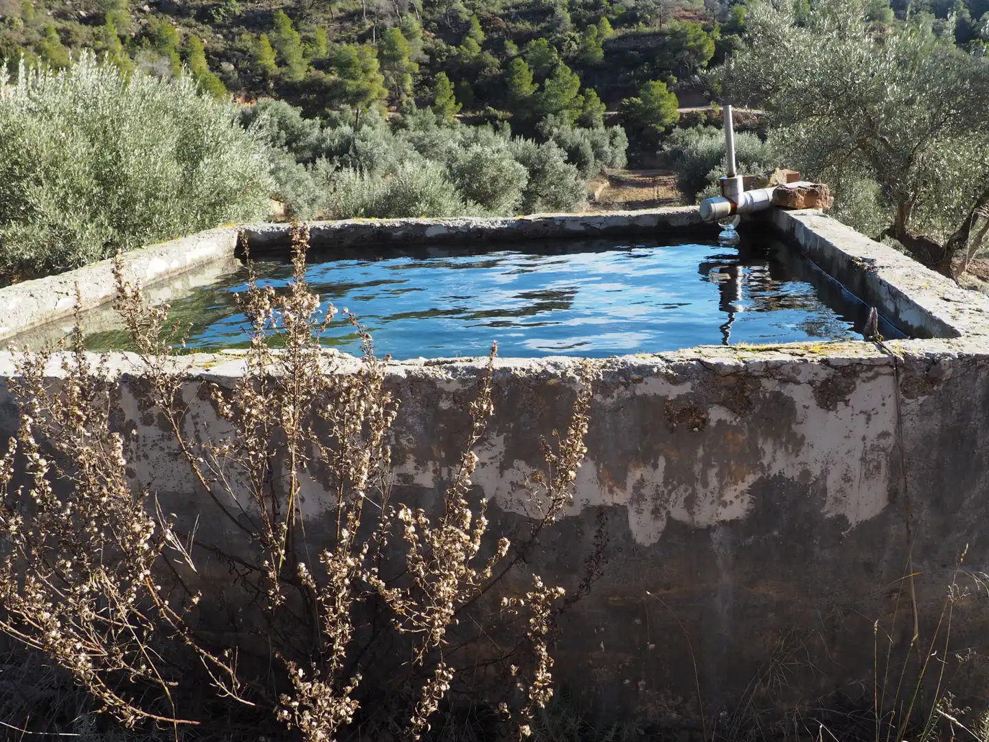 Schwimmbecken von Grundstücke zum Verkauf in Flix