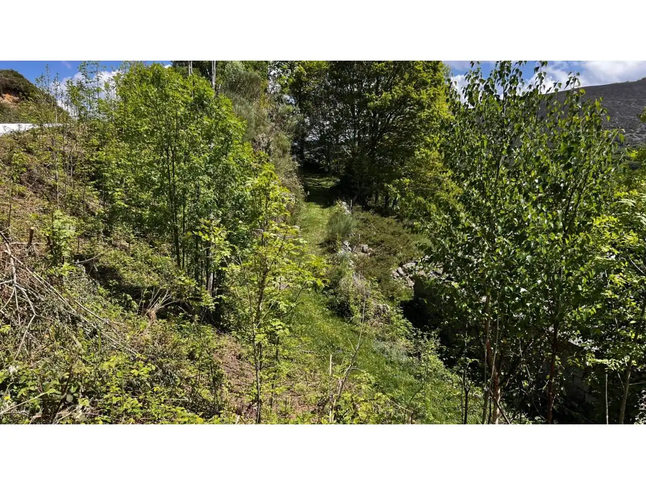 Casa o xalet en venda en Espinosa de los Monteros amb Jardí privat i Terrassa
